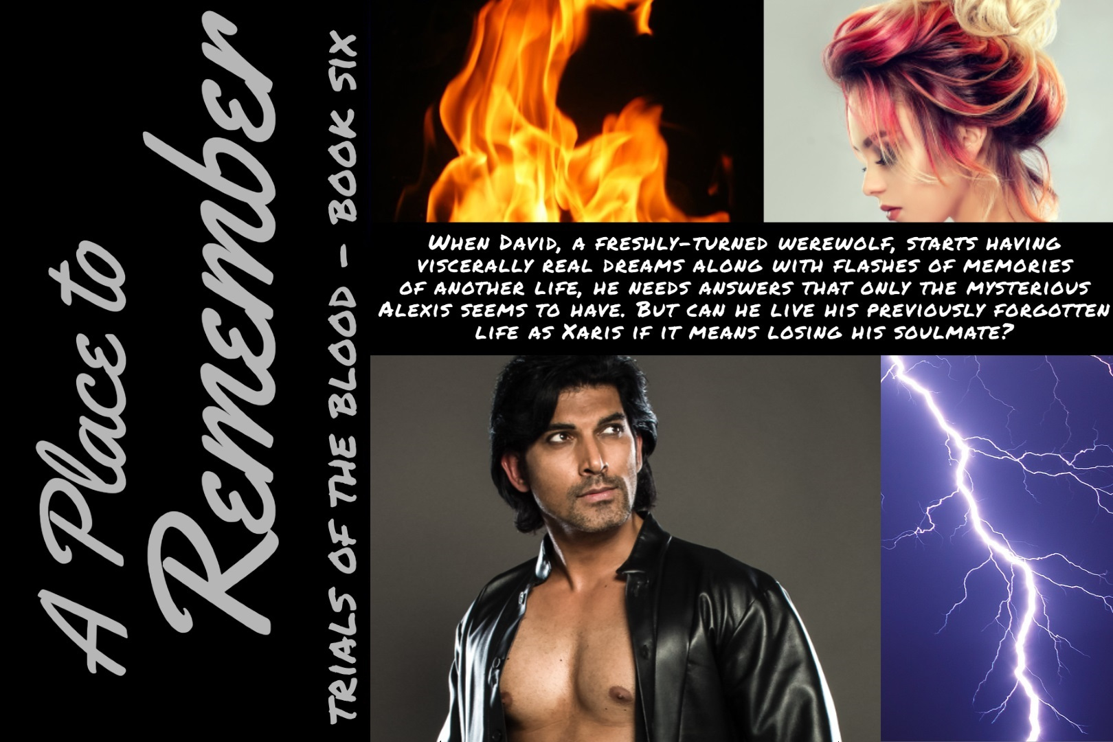 A PLACE TO REMEMBER - TRIALS OF THE BLOOD, BOOK SIX - When David, a freshly-turned werewolf, starts having viscerally real dreams along with flashes of memories of another life, he needs answers that only the mysterious Alexis seems to have. But can he live his previously forgotten life as Xaris if it means losing his soulmate?